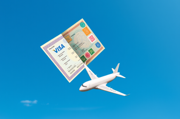 Unlocking Turkey: Visa Procedures for Saudi Citizens and South Africans Citizens